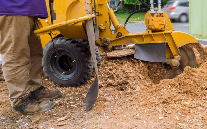 Sterling Land Clearing Experts